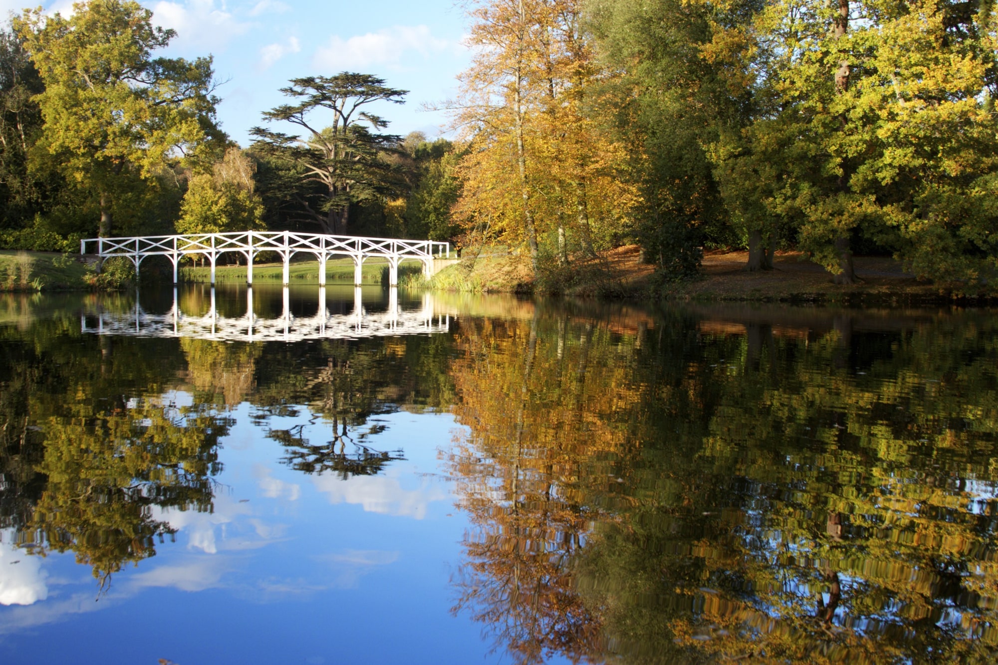 Painting & decorating in Cobham